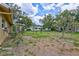 View of backyard with grass and trees surrounding the home at 2961 Briar Cliff Dr, Palm Harbor, FL 34684