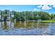 Lake view surrounded by trees at 2961 Briar Cliff Dr, Palm Harbor, FL 34684