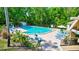 Community pool featuring sun loungers, umbrellas and lush landscape at 2961 Briar Cliff Dr, Palm Harbor, FL 34684