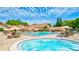Heated pool with lounge chairs and plenty of umbrellas for sunbathing in a gated neighborhood at 2961 Briar Cliff Dr, Palm Harbor, FL 34684
