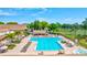 Aerial view of a large swimming pool with lounge chairs and umbrellas next to the golf course at 2961 Briar Cliff Dr, Palm Harbor, FL 34684