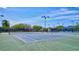 Tennis courts with lush landscaping and lighting for night play at 2961 Briar Cliff Dr, Palm Harbor, FL 34684