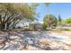 Exterior showcases a charming single-story home with a mature trees and a well-maintained, fenced yard at 3823 N 56Th St, Tampa, FL 33619