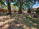 The spacious backyard features mature trees and lush greenery at 4708 W Ballast Point Blvd, Tampa, FL 33611