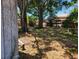 An ample backyard is displayed with mature trees and partial fence at 4708 W Ballast Point Blvd, Tampa, FL 33611
