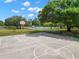 Outdoor basketball court featuring clear court lines and surrounding green space, ideal for recreation at 820 Hickory Ln, Palm Harbor, FL 34683