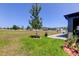 Large backyard featuring a tree, lush lawn, and paver patio at 12407 Hilltop Farms Dr, Dade City, FL 33525