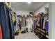 Spacious walk-in closet with ample storage for clothes and accessories at 12407 Hilltop Farms Dr, Dade City, FL 33525
