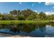 Community pond lined with mature trees and a natural habitat for wildlife at 1400 Gandy N Blvd # 708, St Petersburg, FL 33702