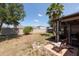 Spacious backyard featuring a well-maintained lawn, a patio area, and mature trees at 16313 Treasure Point Dr, Wimauma, FL 33598