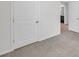 This bedroom boasts neutral carpet and adjacent doors at 32775 Brooks Hawk Ln, Wesley Chapel, FL 33543