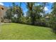 Lush backyard featuring green grass and some shrubbery and trees at 3803 E Curtis St, Tampa, FL 33610