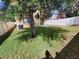 A large, grassy backyard enclosed by a white privacy fence and patio area at 4633 White Bay Cir, Wesley Chapel, FL 33545