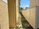 Side yard showing a freshly installed fence with a meticulously maintained yard and lawn at 4633 White Bay Cir, Wesley Chapel, FL 33545
