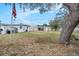Spacious backyard with lush lawn, mature tree, and a view of the house, creating a serene outdoor oasis at 4707 Alma St, New Port Richey, FL 34652