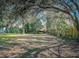 Expansive backyard featuring lush greenery and a mix of trees providing shade, ideal for outdoor activities at 5401 E 14Th Ave, Tampa, FL 33619