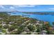 Aerial view of the houses in a lush green community that leads to a big pond and ocean at 7314 Hunt Club Ln, Seminole, FL 33776