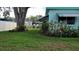 Green backyard showcasing a covered patio and flowering hibiscus plants near a well-maintained lawn at 7336 20Th N St, St Petersburg, FL 33702