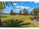 Expansive backyard with lush lawn and palm trees, backing onto a serene lake, perfect for outdoor enjoyment at 1013 Stella Vara Dr, Lutz, FL 33548