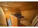 Spacious attic featuring plywood floor, bike, and supplies for extra storage space at 10982 Banyan Breeze Blvd, Land O Lakes, FL 34638