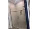 Contemporary glass walk-in shower with tiled surround and built-in niche at 11219 Paddock Manor Ave, Riverview, FL 33569