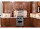 Gourmet kitchen featuring stainless steel appliances, a pot filler, and custom cabinetry at 11910 Keating Dr, Tampa, FL 33626