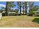Expansive backyard featuring a well-maintained lawn and lush greenery at 17616 Nathans Dr, Tampa, FL 33647