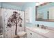 Bathroom features a shower with curtain, vanity, toilet, and mirror at 1823 Atrium Dr, Sun City Center, FL 33573