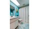 Bathroom featuring bright blue walls, vanity, a shower with curtain, and artwork at 2600 Forest Run Ct, Clearwater, FL 33761