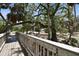 Scenic view from wooden bridge, highlighting lush greenery and mature trees in a tranquil setting at 4309 W Robin Ln, Tampa, FL 33609