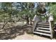 Staircase leading to a scenic view surrounded by a canopy of mature trees and natural Florida landscape at 4309 W Robin Ln, Tampa, FL 33609