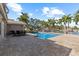 Backyard pool with patio, palm trees, and waterfront access at 4531 44Th S St, St Petersburg, FL 33711