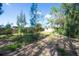View of the backyard showing abundant green space with a variety of trees at 6908 11Th E Ave, Palmetto, FL 34221