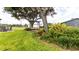 Lush backyard includes manicured garden with seating and mature trees, perfect for entertaining at 812 Jameson Rd, Lithia, FL 33547