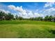 Expansive lush green space under a bright blue sky provides ample room for outdoor activities and recreation at 8717 Emeraldwood Way, Land O Lakes, FL 34637