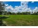 Expansive green soccer field with well-maintained grass, soccer nets, and surrounded by mature trees at 8717 Emeraldwood Way, Land O Lakes, FL 34637