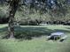 Picturesque picnic area in a serene, tree-shaded spot, perfect for outdoor gatherings at 915 Rolling Hills Dr, Palm Harbor, FL 34683
