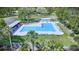 A pristine community pool is captured from above, lined with lounge chairs and shaded by surrounding greenery at 915 Rolling Hills Dr, Palm Harbor, FL 34683