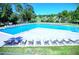 A sparkling blue pool is surrounded by lounge chairs, perfect for relaxing in the sunshine at 915 Rolling Hills Dr, Palm Harbor, FL 34683