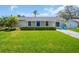 Inviting home featuring a lush green lawn, palm trees, and charming blue Adirondack chairs at 1011 Coldstream Ct, Tarpon Springs, FL 34689