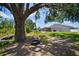 Spacious backyard featuring a tire swing on a tree, plus pool and cabana in the distance at 13013 Satin Lily Dr, Riverview, FL 33579