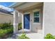 Inviting front entrance featuring a blue door with manicured landscaping at 13981 Lilac Sky Ter, Bradenton, FL 34211