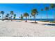 Scenic beach view with palm trees, soft sand, and clear blue water, ideal for relaxing by the shore at 1424 Ridge Shore Dr, Tarpon Springs, FL 34689