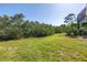 Expansive backyard with lush green lawn and mature trees, offering privacy and natural beauty at 2101 N Pointe Alexis Dr, Tarpon Springs, FL 34689