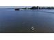 Breathtaking view of dolphins swimming in the water at 2417 Sunset Vista Dr, Spring Hill, FL 34607
