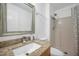 Bathroom featuring a granite countertop, sink, mirror, and walk-in shower at 2907 Mingo Dr, Land O Lakes, FL 34639