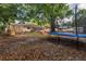 Spacious backyard featuring mature trees, a trampoline, and a wooden play structure at 3753 Hollow Oak Pl, Land O Lakes, FL 34639