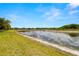 Picturesque backyard overlooking a tranquil pond and manicured green lawn at 4220 Barletta Ct, Wesley Chapel, FL 33543