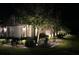 Charming home exterior at night featuring landscape lighting and meticulously maintained lawn and garden at 4220 Barletta Ct, Wesley Chapel, FL 33543
