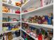 Organized walk-in pantry featuring shelving stocked with food and household items at 4220 Barletta Ct, Wesley Chapel, FL 33543
